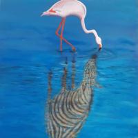 Camargue - Dominique Lefort