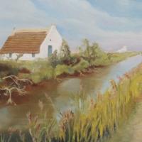 Daniel Poisson - Camargue