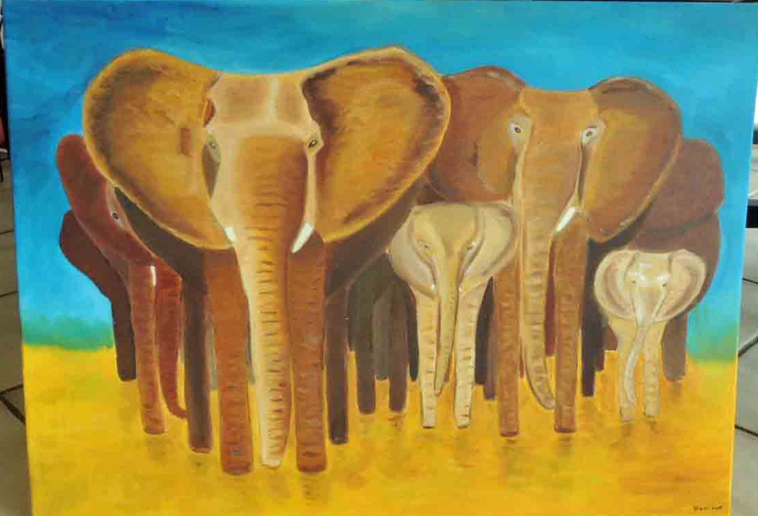 elephants