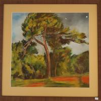 Florence Bonnel - le pin bibemus