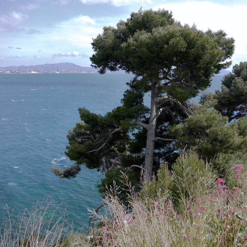 Fondation Monticelli (23)