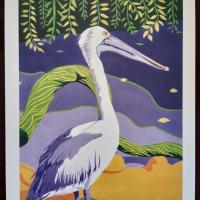 Gwendalina David - Pelican