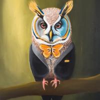 Charlotte - Hibou