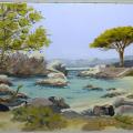 Expo Les Lecques 2010