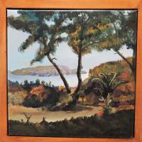 L ile verte - Daniel Poisson