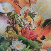 Marie-Josee Pellegrin - Vitalite - collage