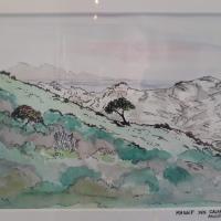 Nathalie Houard - Archipel du Riou