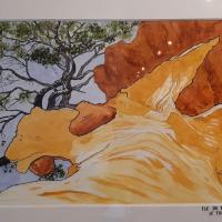 Nathalie Houard - Ile de Port Cros