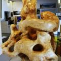 Expo Les Lecques 2011