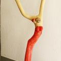 Expo Les Lecques 2011