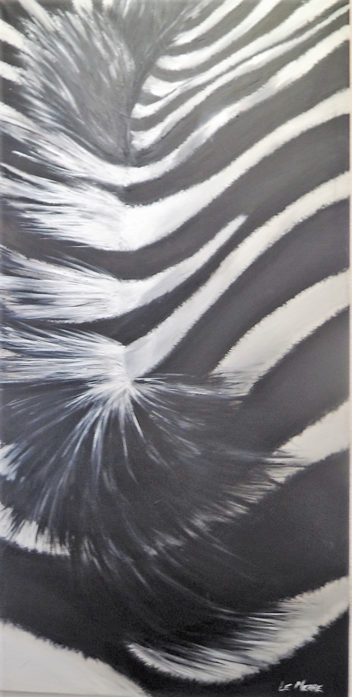 Peau de zebre - Béatrice Lemerre