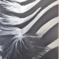 Peau de zebre - Béatrice Lemerre