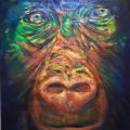 Regard de gorille - Béatrice Lemerre