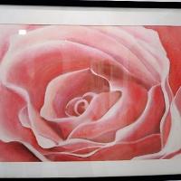 Rose - Gwendalina David